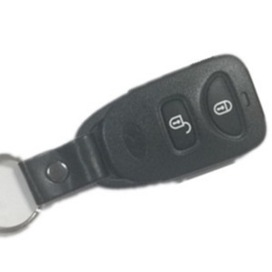 Buy 315MHz Hyundai Key Fob 2 Button Panic Santa Fe Accent PLNHM-T00 Car Remote online manufacture